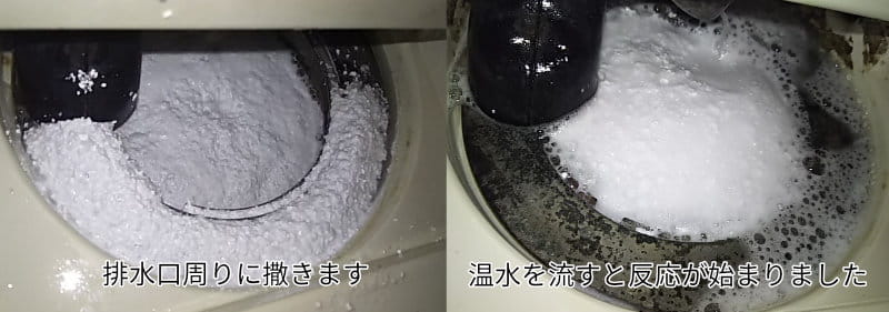 ピーピースルーを撒いたところ