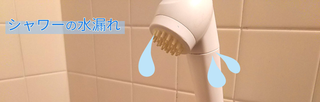 シャワーヘッドとシャワーホースの水漏れ