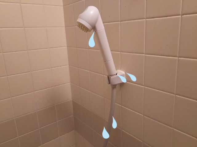 シャワーヘッドとシャワーホースから水漏れしているイメージ