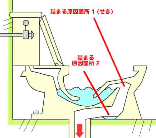トイレつまりを解消するためにトイレがつまりやすい箇所について解説しています。トイレの断面図で「せき」の部分、排水口の手前の部分について、どのような箇所であるのかを紹介しています。