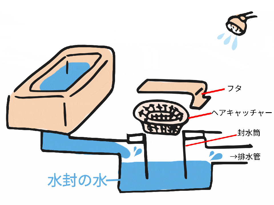 お風呂で臭いが発生する排水口の構造